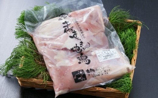 鶏肉 はちきん地鶏むね肉500g | 高知県 ブランド地鶏 鶏肉 とり肉 鳥肉 キャンプ バーベキュー BBQ 焼肉 焼き肉 低カロリー 高タンパク 高たんぱく 高知県 室戸市