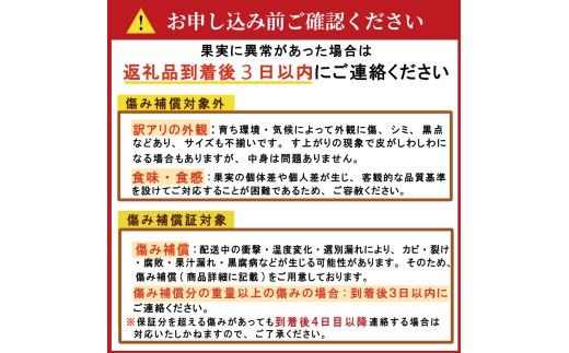 木成り 追熟 訳あり 愛南ゴールド 9kg+傷み保証分1kg 合計約10kg 河内晩柑 柑橘 フルーツ 果物 蜜柑 みかん くだもの mikan 家庭用 傷 不揃い 樹上 熟成 サイズミックス かわち ばんかん かんきつ 和製 グレープフルーツ デザート 果実 果汁 甘い ジューシー おいしい 特産品 国産 農園 直送 産地 直送 資格 大学 イノベーター エニシトラス 愛媛県 愛南町 