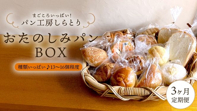 【 3ヶ月 定期便 】まごころいっぱい！ パン工房しらとり 「 種類いっぱい♪ 」 おたのしみパン ボックス 【B】 冷凍 パン 詰め合わせ ボックス ギフト お楽しみ [AU014ci]