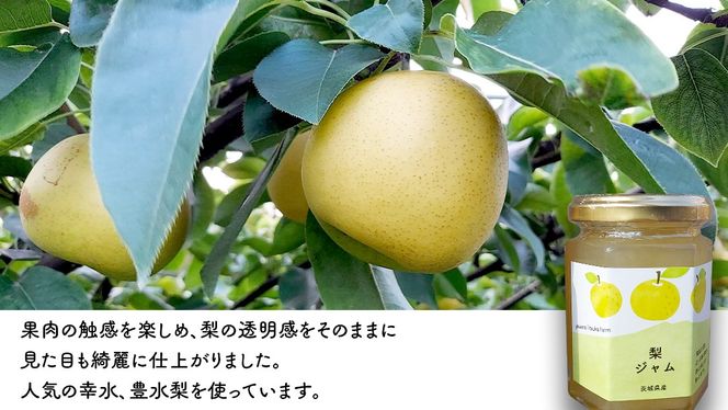 地元農家が作る つくばみらい市産 果実 を使った 梨 と ぶどう の ジャム 各種2個入り 計4個セット 梨 幸水 豊水 ぶどう ワイン品種 メイヴ やわら飯塚農園 パン ヨーグルト かき氷 アイス ピザ 朝食 おやつ 茨城県 つくばみらい市 地元農家 果物 セット [CZ08-NT]