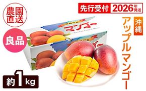 【化粧箱入】【先行受付・2026年発送】ヤマト農園 アップルマンゴー約1kg（良品）- 先行予約 沖縄県産 産地直送 南国フルーツ 旬の味覚 季節の果物 贈り物 ギフト 沖縄県 八重瀬町
