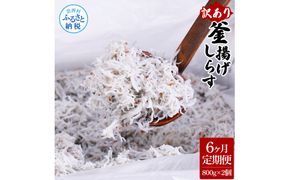 【CF-R7hbk】t204mmk　〈6ヶ月定期便〉訳あり 釜揚げシラス 800g×2個 定期便 定期コース 6ヶ月 しらす シラス 釜揚げ 新鮮 塩分控えめ 離乳食 わけあり ワケあり 不揃い しらす丼 海鮮丼 お茶漬け