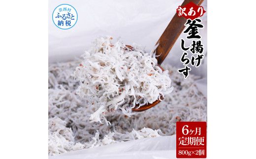 【CF-R7hbk】t204mmk　〈6ヶ月定期便〉訳あり 釜揚げシラス 800g×2個 定期便 定期コース 6ヶ月 しらす シラス 釜揚げ 新鮮 塩分控えめ 離乳食 わけあり ワケあり 不揃い しらす丼 海鮮丼 お茶漬け