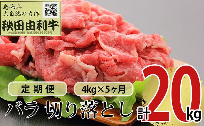 《定期便》5ヶ月連続 秋田由利牛 バラ切り落とし 4kg（1kg×4パック）