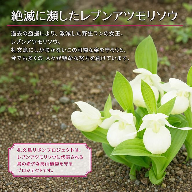 【礼文島リボンプロジェクト】北海道 礼文島 香深産 開きほっけ＆ちゃんちゃん焼き 詰め合わせ「ほっけ三昧」ピンバッジ付［香深漁業協同組合］【 ほっけ ホッケ 開きほっけ ちゃんちゃん焼き 干物 海鮮 自然保護 寄付 北海道産 】