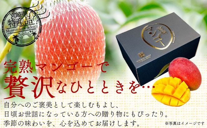 ＜宮崎県産 完熟マンゴー 2L 合計2玉＞入金確認後、2025年7月初旬迄に順次出荷【選べる 大きさ サイズ 国産 かんじゅく とろける 果物 果実 フルーツ 南国 芳醇 甘い 旬 濃厚 贈り物 プレゼント（株）ワールドワイドトレード 宮崎県 国富町】【b0954_ww】