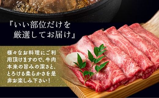 【厳選部位】博多和牛サーロインしゃぶしゃぶすき焼き用 300g　DX029