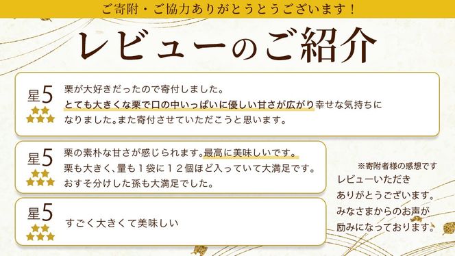 【 吉原農場 の 完熟栗 】熟成 栗 満喫 セット ( 栗の深雫 ラム 6個入り ) 令和7年産 栗の深雫 完熟  生むき栗 焼き栗 栗きんとん ラム くり クリ 栗ごはん おかし お菓子 果物 フルーツ 数量限定 旬 秋 冬 正月 おせち [CX033ci]