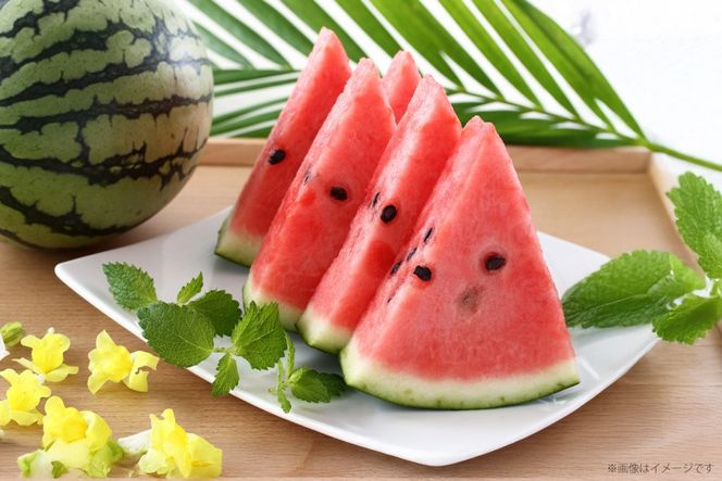 AJ643 【令和8年度出荷分】 島原スイカ倶楽部 大玉スイカ 羅皇ザ・スウィート 3Lサイズ 8〜10kg [ 先行予約 数量限定 すいか スイカ 西瓜 フルーツ 果物 長崎 長崎県 島原市 ]