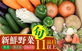 新鮮 野菜 キノコ 果物 11品目 詰め合わせ / 野菜 やさい きのこ キノコ 詰め合わせ セット 野菜セット きのこセット / 吉岡青果 / 南島原市 [SCZ004]