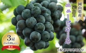 ぶどう 2026年 先行予約 ご家庭用 ニュー ピオーネ 優品 3房入り（1房 530g以上 露地栽培） ブドウ 葡萄  岡山県産 国産 フルーツ 果物 