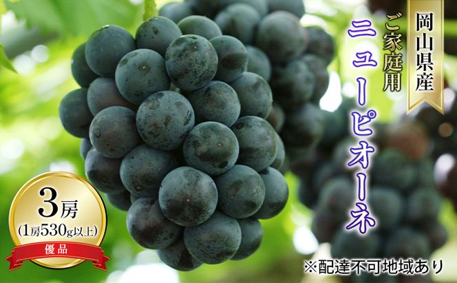 ぶどう 2026年 先行予約 ご家庭用 ニュー ピオーネ 優品 3房入り（1房 530g以上 露地栽培） ブドウ 葡萄  岡山県産 国産 フルーツ 果物 