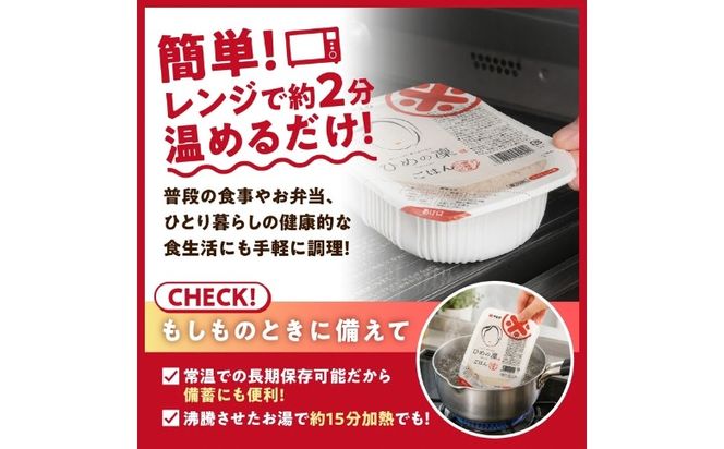 【6ヵ月定期便】パックごはん 「ひめの凜」（精米）160g 6個入り×6回（計36P） ｜ 愛媛県産 国産米100％ 精米 ライスパック パックご飯 常温保存 保存食 備蓄 新生活 レンジ 時短 防災 温めるだけ 愛媛県 鬼北町