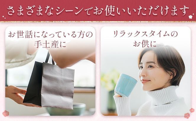 焼き菓子詰め合わせ 選べる 12個入り 15個入り 株式会社玉利軒《30日以内に出荷予定(土日祝除く)》岡山県 笠岡市 焼き菓子 詰め合わせ お土産 和菓子 洋菓子 お菓子 スイーツ 手土産 送料無料---T-47---