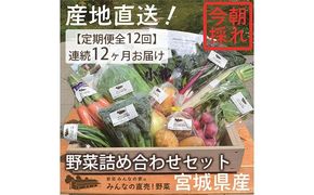野菜 定期便 12ヵ月 朝どれ 野菜セット 8～10個 詰め合わせ 岩沼みんなの家 みんなの直売! 季節の野菜 旬の野菜 旬 東北 震災 支援 12ヶ月 産地直送 送料無料 冷蔵 冷蔵配送 宮城県産 宮城 宮城県 岩沼市 定期 12回