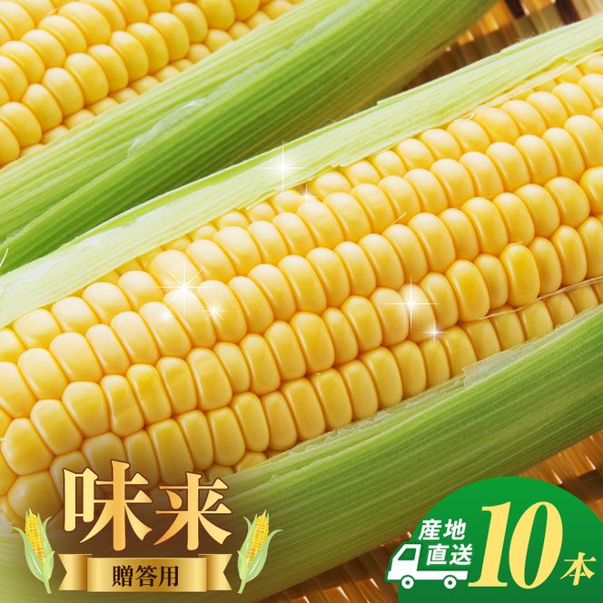とうもろこし 味来 贈答用 10本 トウモロコシ 宮城県産 甘い 夏 朝採れ 産地直送 宮城県 大河原町