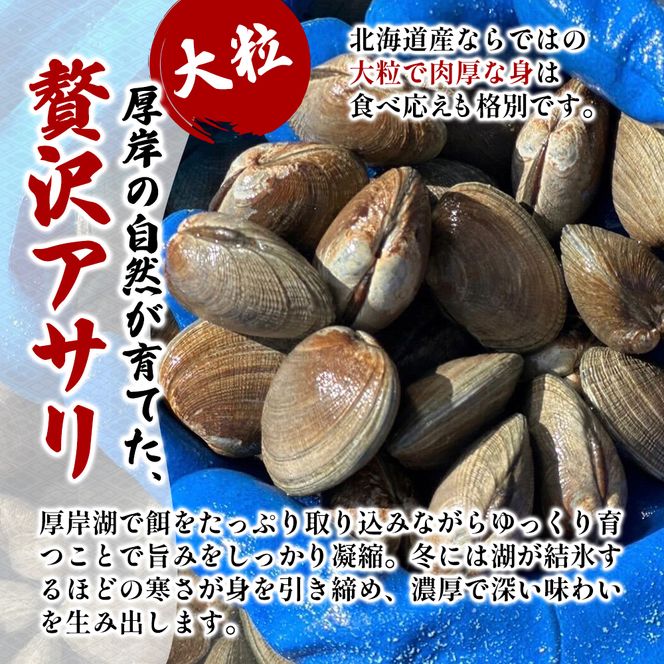 北海道 厚岸産 砂抜き済み あさり 2kg ＆ ブランド牡蠣 マルえもん 殻付き LLサイズ 10個 【光輝】 [ 魚貝類 海鮮 海の幸 みそ汁 酒蒸し アサリバタ 産地直送 生食用牡蠣 生食用 牡蠣 カキ ］