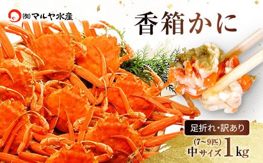 【11月12日～12月15日発送】石川県産 香箱蟹 せいこ 訳あり 中サイズ 1kg 7～9匹 詰合せ F6P-3484