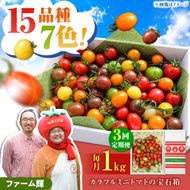 【先行予約】【全3回定期便】15品種7色の彩り/カラフルミニトマトの宝石箱約1kg×3回〈2026年12月から配送開始〉定期便3ヶ月 約1kg トマト とまと 詰め合わせ セット 15品種以上 野菜 料理 サラダ マリネ パスタ 浅漬け おやつ 弁当 甘味 酸味 高知県 土佐市【ファーム輝】 [BQBM008]