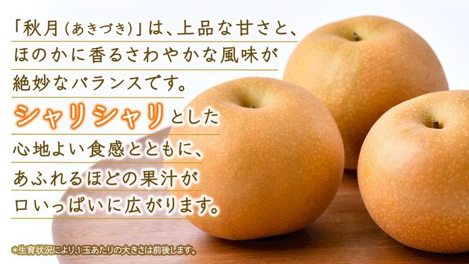 ＼ 選べる内容量 ／ あきづき 梨 約3kg / 約5kg / 約10kg 【2026年10月より発送開始】（茨城県共通返礼品 [梨]：大子町産） なし 旬 お取り寄せ フルーツ 甘い ジューシー 和梨 時期 秋月