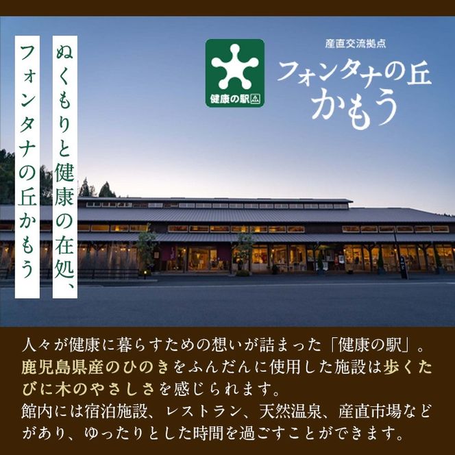 a971 ＜選べる金額＞フォンタナの丘かもう・宿泊助成サービス(3000円分・5000円分)【フォンタナの丘かもう】姶良市 ギフト券 クーポン 宿泊券 割引券 宿泊 旅行 チケット 旅行券 ホテル 温泉