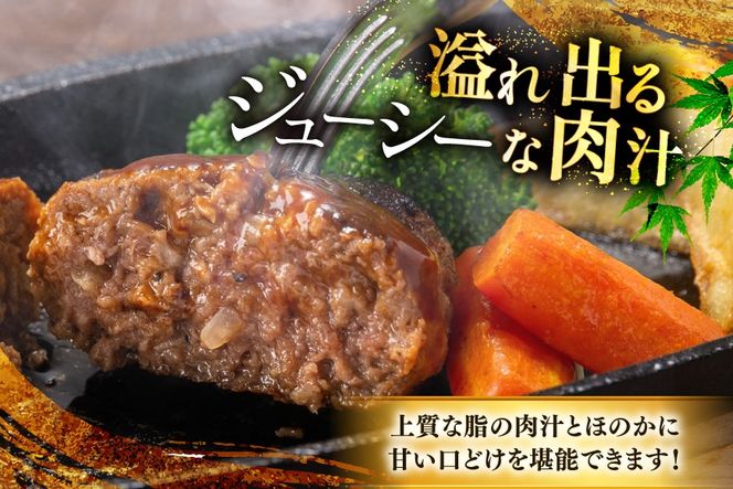 ハンバーグ 博多和牛 生ハンバーグ 140g 5個入り [JA全農ミートフーズ 福岡県 筑紫野市 21761311] 冷凍 牛 牛肉 個包装 小分け セット