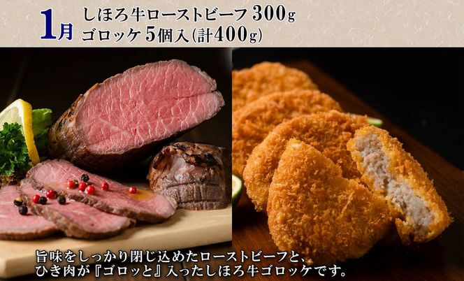 【CF】北海道 プレミアム 定期便 全6回 リブロース スライス サーロイン ローストビーフ ゴロッケ 北秀牛 ハンバーグ ポテトチップス アイス コロッケ 肉 冷凍 頒布 送料無料 十勝 士幌町 クラウドファンディング【X25-2-CF】