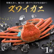 【 姫丸の二番ズワイガニ】11-12月配送 2番ズワイ茹で上げ後約900g× 1杯