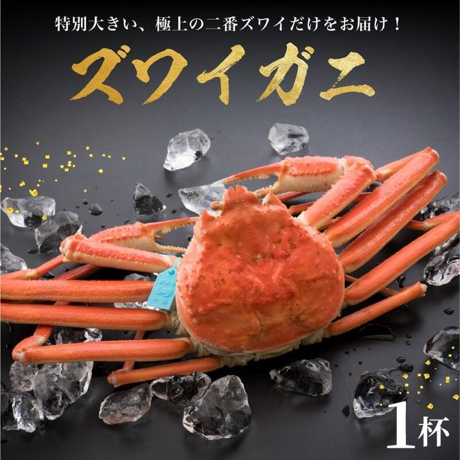 【 姫丸の二番ズワイガニ】11-12月配送 2番ズワイ茹で上げ後約900g× 1杯