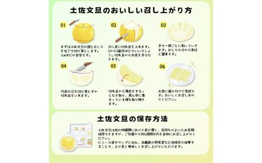 【先行予約】訳あり 温室土佐文旦 家庭用 5kg (8～12玉）〈2026年12月上旬から発送〉/文旦 ぶんたん ブンタン 土佐文旦 ハウス栽培 甘い 柑橘 フルーツ 果物 ご当地 産地直送 お取り寄せ【土佐文旦の藤岡】 [BQBJ005]