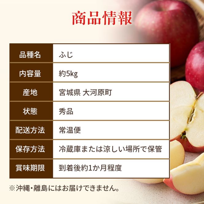 人気No.1 りんご ふじ 10kg 果物 フルーツ 先行予約 単品 定番 宮城県 大河原町 リンゴ 林檎 くだもの 大容量 送料無料