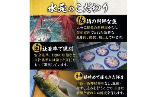 ＜訳あり＞地魚海鮮漬け丼の素 (計8食) アジ サバ マグロ カツオ タイ イカ ブリ カワハギ メジナ イサキ カンパチ ヒラメ 鮮魚 漬け丼 詰め合わせ 食べ比べ 冷凍 国産 大分県 佐伯市【GO013】【(株)水元】