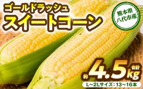 【先行予約】プリッとジューシー！ 熊本県 八代市産 スイートコーン ゴールドラッシュ 約4.5kg (13～16本) とうもろこし トウモロコシ コーン 甘い 朝採り 高糖度 BBQ  熊本県 八代市 【2026年6月上旬より順次発送】