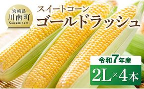 【令和7年発送】宮崎県産とうもろこし　スイートコーン「ゴールドラッシュ」2L×4本【新鮮 農家直送 トウモロコシ 産地直送 季節限定 期間限定 宮崎県産 九州産】 [D09106]