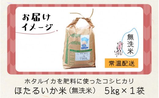 【訳あり】ほたるいか米（無洗米５kg）【通年発送】