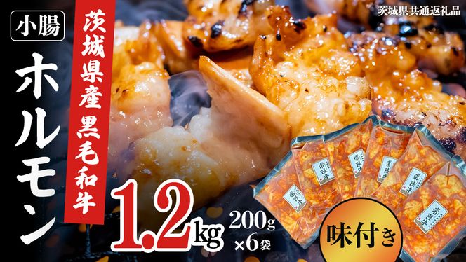 【茨城県産】 黒毛和牛 味付き 小腸 1.2kg （ 200g ×6パック ） (茨城県共通返礼品) 国産 牛肉 肉 お肉 ホルモン もつ 和牛 小腸 ホルモン 味付き 味付ホルモン タレ漬け 焼肉 BBQ 小分け 冷凍 料理 簡単