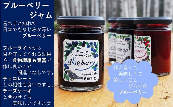 2種のベリー【カシス＆ブルーベリー】手作りジャムセット 各2個 北海道 南富良野町 ジャム ベリー カシス ブルーベリー ソース 果実 てんさい糖 無農薬 甘酸っぱい 