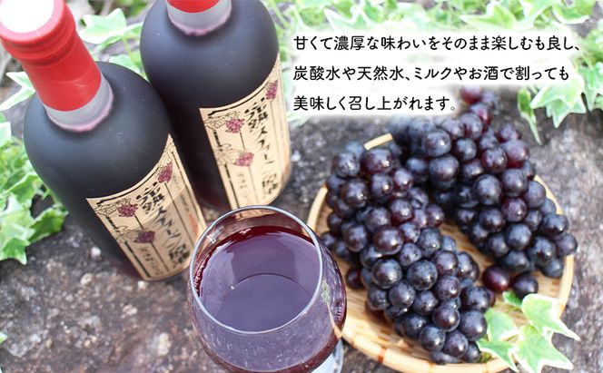 青森県鶴田町産 津軽ぶどう村 完熟スチューベン原液 720ml × 3本 ＆ 特秀 スチューベン ぶどう 約2kg セット 果物 ぶどう フルーツ 果汁飲料 ぶどうジュース　高糖度 ギフト 贈答用