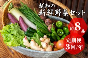 越知産市の季節の野菜セット(年3回発送)