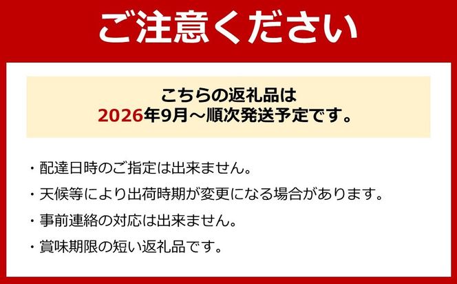 シャインマスカット、豊水梨　詰め合わせ約2kg箱 CC49
