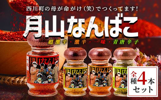 FYN9-645 山形県 西川町産 唐辛子使用！ 月山なんばこ 4種4本セット 調味料 食品 香辛料 スパイス 唐辛子 とうがらし 辛い 手作り 命がけ 山形県 西川町 月山