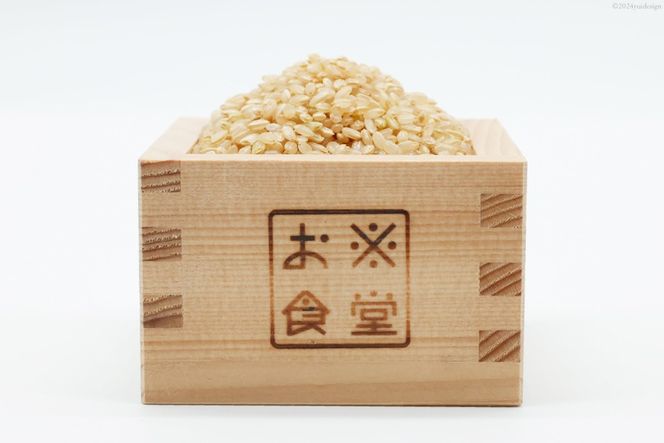 一分づき 玄米 2kg 【真空包装】[お米食堂 富山県 舟橋村 57050239] お米 米 こめ コメ 真空 パック ごはん 備蓄 長期保存