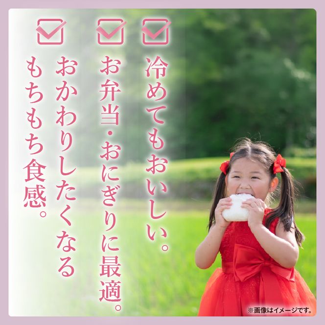 【人気4銘柄食べ比べ】令和7年産 茨城県産 コシヒカリ・あきたこまち・ふくまる・ミルキークイーン　5kg×各1袋（計20kg）【お米 米 コメ こめ たべくらべ 65000円以内】(AL174)