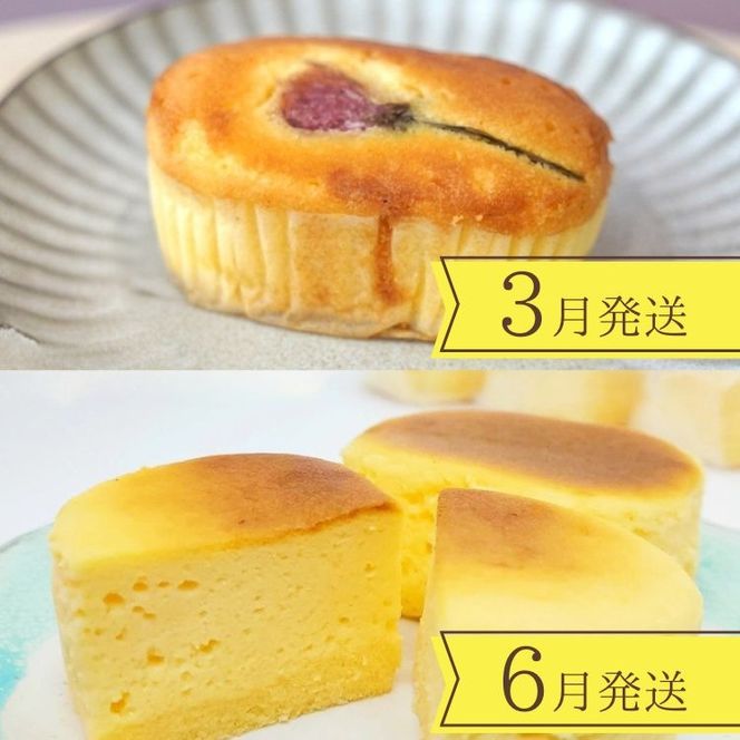 ys{Tszy4ցzqmَqكxWFmArG߂Ƃɓ͂mَq `[YP[L XC[c Xt   I  }h[k tBiVF