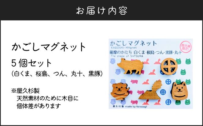 かごしマグネット 5個セット　K391-004