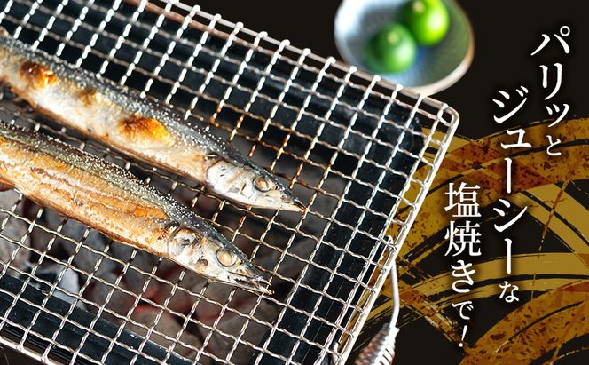 先行予約 産地直送 北海道 厚岸産 刺身用 鮮さんま 2kg（16～20尾） サンマ 秋刀魚 さんま 鮮魚 魚介類 海産 生さんま 