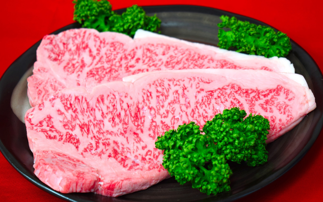霜降り！宮城県産 仙台牛  サーロイン ステーキ 600g ( 約300g × 2枚 ) 肉 牛肉 和牛 国産 冷凍【sari004】