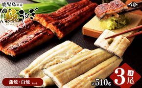 楠田の極うなぎ 蒲焼き2尾・白焼き1尾170g以上×3尾(510g以上) b2-011