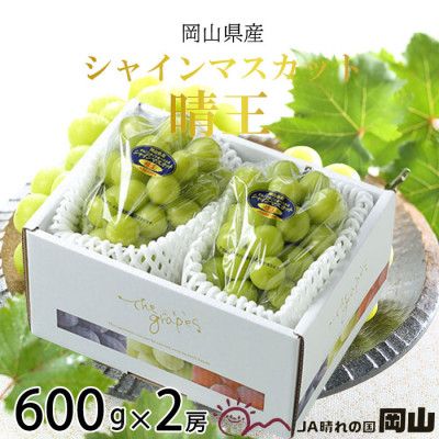 【2026年7月上旬より発送】岡山県産 シャインマスカット 晴王 600g×2房 ぶどう 葡萄 ブドウ フルーツ 果物