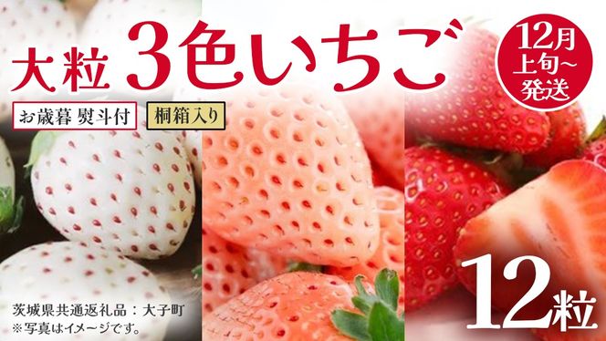 y錧vszy Ε lt z˔ 嗱 3F 12y2025N12{Jnz(錧ʕԗiFq)   ʕ t[c ʎ p Mtg 蕨